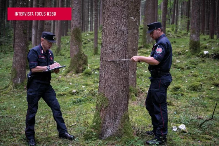 Boschi cedui: ripartire dalla complessità